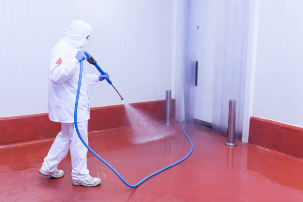 Best Pre-Holiday Cleaning  in Wenona, IL