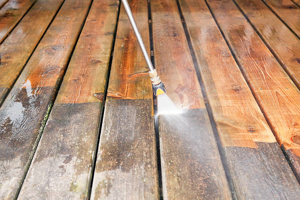 Best Sidewalk and Walkway Cleaning  in Wenona, IL